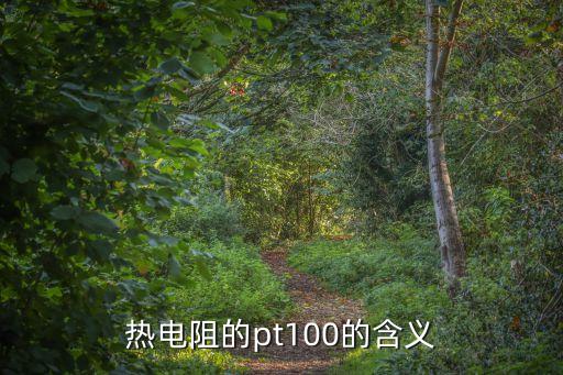pt100的含義，我用的熱電阻型號(hào)是HLLT3 分度號(hào) pt100 不知道是什么意思 有哪位老