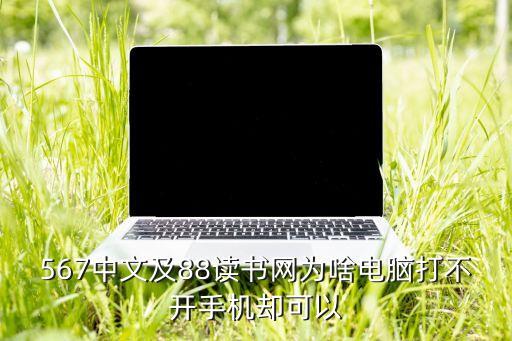 567中文及88讀書(shū)網(wǎng)為啥電腦打不開(kāi)手機(jī)卻可以