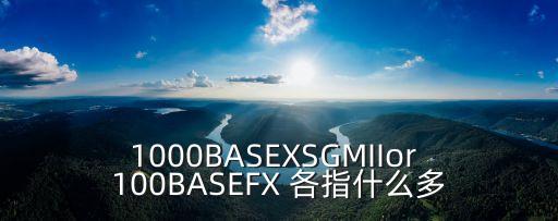 sgmii，1000BASEXSGMIIor 100BASEFX 各指什么多
