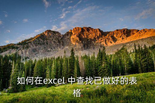 如何在excel 中查找已做好的表格