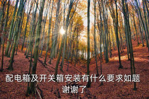 配電箱安裝，配電箱及開關(guān)箱安裝有什么要求如題 謝謝了