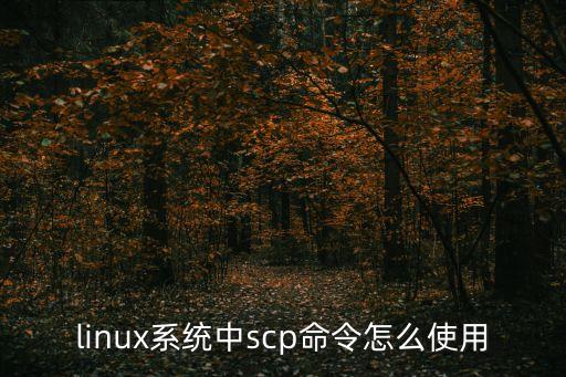 linux系統(tǒng)中scp命令怎么使用