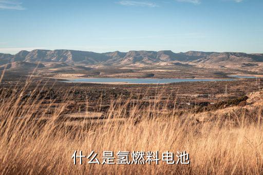 什么是氫燃料電池
