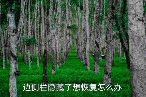 邊側(cè)欄隱藏了想恢復(fù)怎么辦
