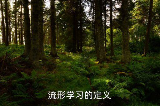 流形學(xué)習(xí)的定義