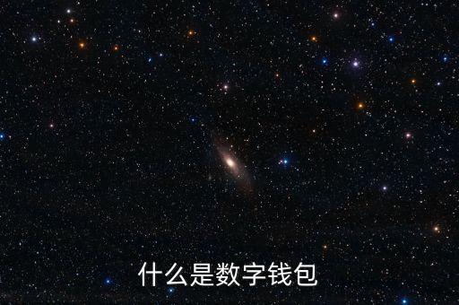 什么是數(shù)字錢包