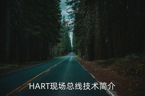 HART現(xiàn)場總線技術(shù)簡介
