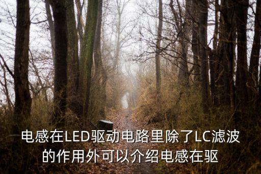 電感在LED驅(qū)動(dòng)電路里除了LC濾波的作用外可以介紹電感在驅(qū)