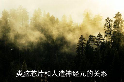 類腦芯片和人造神經(jīng)元的關系
