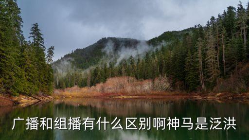 廣播和組播有什么區(qū)別啊神馬是泛洪