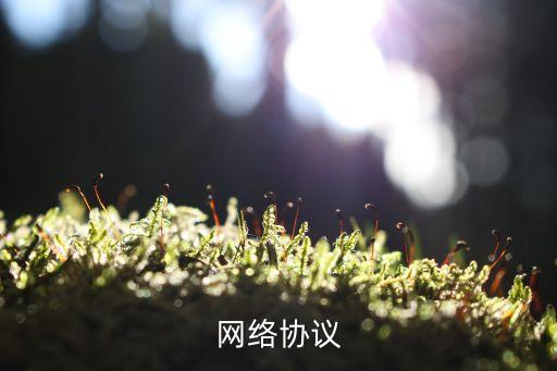 網絡協(xié)議有哪些，網絡協(xié)議