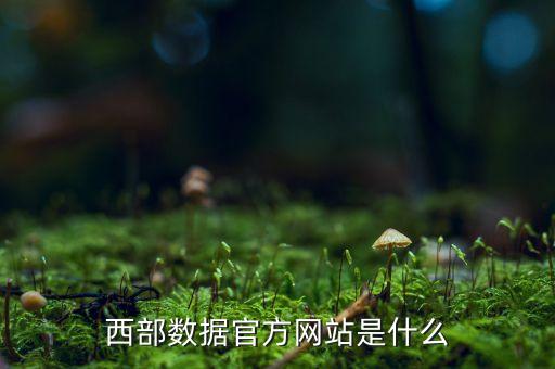西部數(shù)據(jù)中國(guó)官網(wǎng)，請(qǐng)問(wèn)硬盤西部數(shù)據(jù)的官方網(wǎng)站