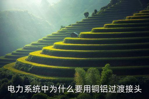 電力系統(tǒng)中為什么要用銅鋁過渡接頭