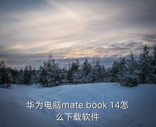 華為電腦mate book 14怎么下載軟件