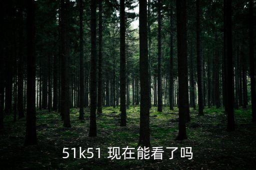 51k51 現(xiàn)在能看了嗎