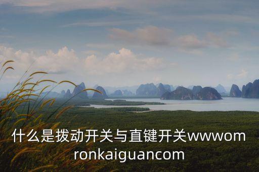什么是撥動(dòng)開關(guān)與直鍵開關(guān)wwwomronkaiguancom