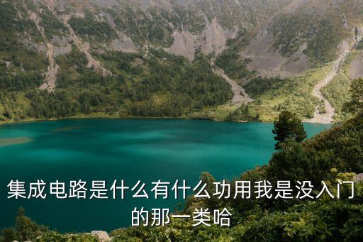 集成電路是什么，ASIC是什么