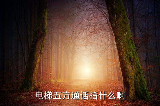 電梯五方通話系統(tǒng)，電梯五方對講