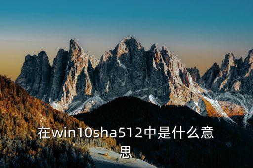 sha512，在win10sha512中是什么意思