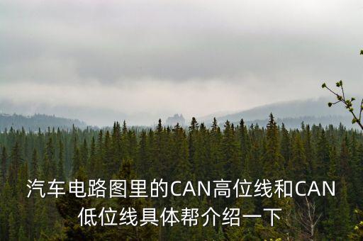 can線，汽車電路圖里的CAN高位線和CAN低位線具體幫介紹一下