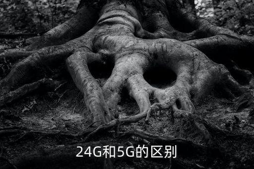 24G和5G的區(qū)別