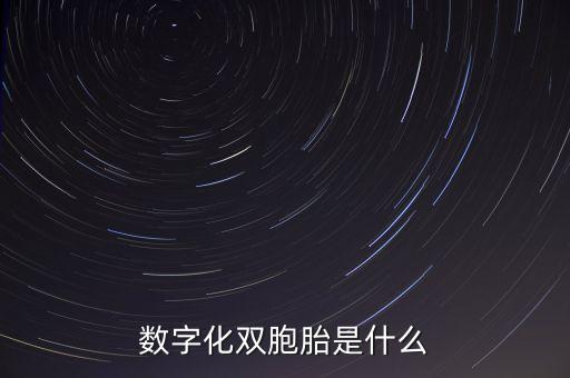 數字化雙胞胎是什么