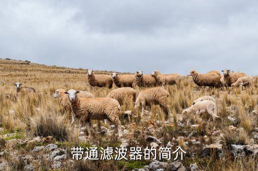 帶通濾波器，什么是帶通濾波器BPF