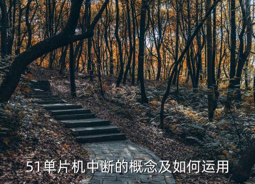 單片機(jī)中斷，51單片機(jī)中斷的概念及如何運用
