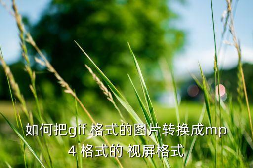 如何把gif 格式的圖片轉(zhuǎn)換成mp4 格式的 視屏格式