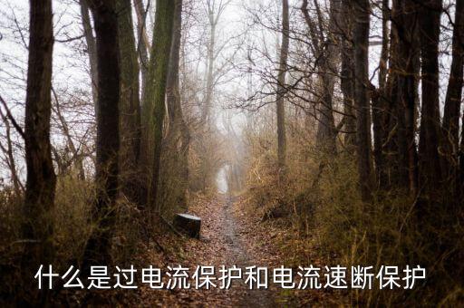 電流速斷保護(hù)，什么是過(guò)電流保護(hù)和電流速斷保護(hù)