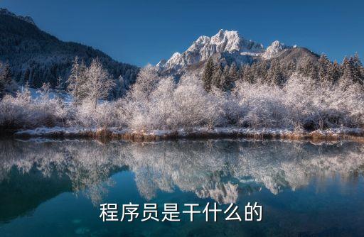 程序員是干什么的