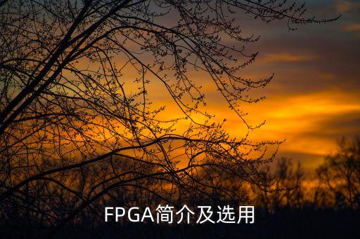 FPGA簡介及選用