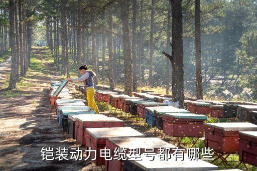鎧裝電纜規(guī)格型號(hào)，鋼帶鎧裝電纜型號(hào)有哪些