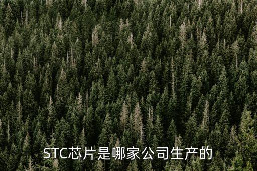 STC芯片是哪家公司生產(chǎn)的