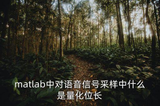 量化位數(shù)，matlab中對語音信號采樣中什么是量化位長