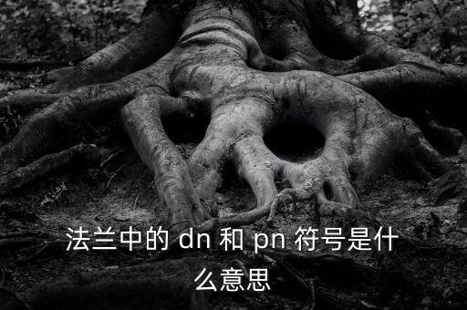 法蘭中的 dn 和 pn 符號(hào)是什么意思