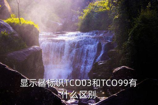 tco是什么意思，奔馳tco黃燈閃爍是什么意思