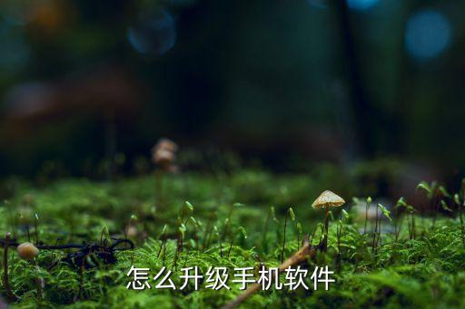 怎么升級(jí)手機(jī)軟件