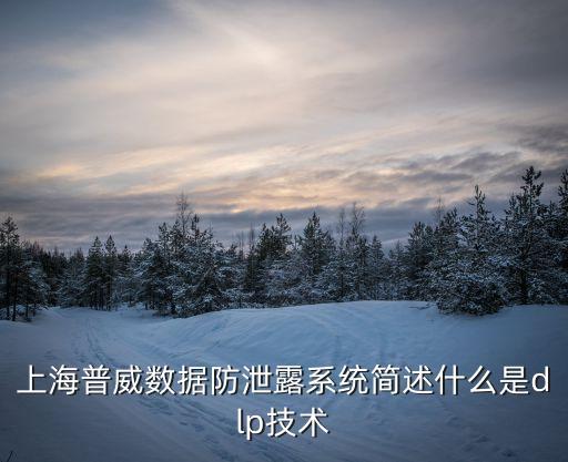 上海普威數(shù)據(jù)防泄露系統(tǒng)簡(jiǎn)述什么是dlp技術(shù)