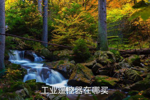 工業(yè)遙控器在哪買