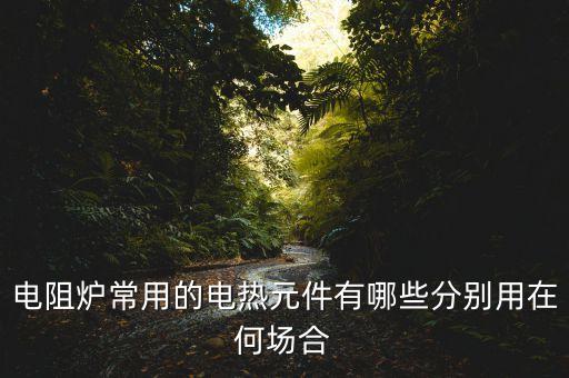 加熱元件，電熱器具中的電熱元件是什么