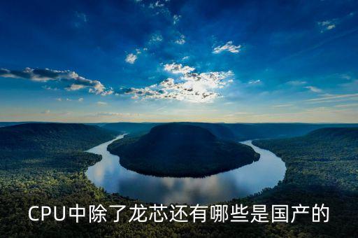 國(guó)產(chǎn)cpu，CPU中除了龍芯還有哪些是國(guó)產(chǎn)的