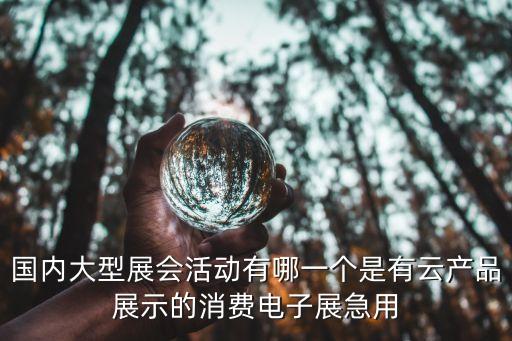 國內(nèi)大型展會活動有哪一個是有云產(chǎn)品展示的消費電子展急用