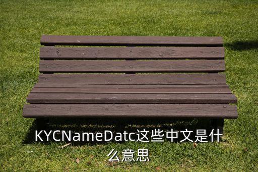 kyc是什么意思，KYCNameDatc這些中文是什么意思