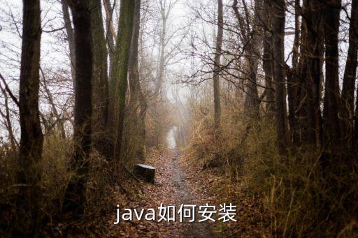 java安裝教程，JAVA怎么裝啊啊