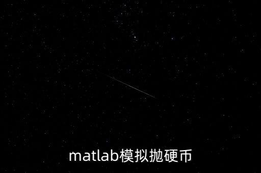 拋硬幣模擬器，模擬硬幣隨機上拋100次落地統(tǒng)計出現(xiàn)概率該程序適合的結構