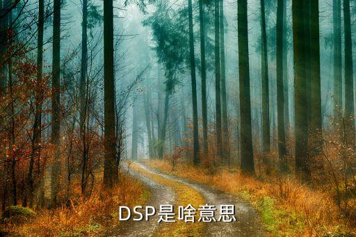 什么是dsp，功放上的DSP效果鍵是什么作用