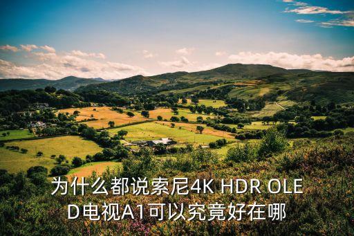 索尼oled電視，SONY XEL1 OLED