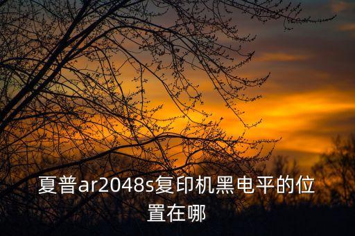 夏普ar2048s復(fù)印機(jī)黑電平的位置在哪