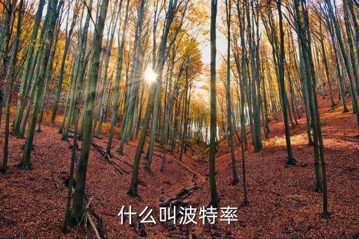 波特率，什么叫波特率